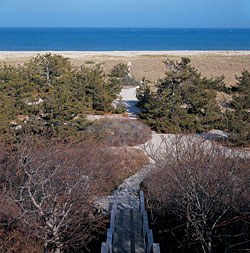 Lifestyle: A Sailor's Life for Me; Maritime Artifacts and Antiques in a Nantucket Home by Betsy Tyler