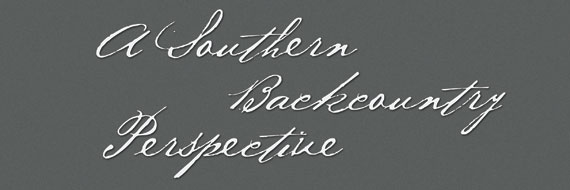 A Southern Backcountry Perspective: The Museum of Early Southern Decorative Arts at the Winter Antiques Show by Johanna Metzgar Brown