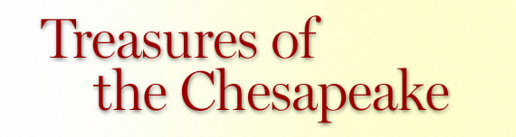 Treasures of the Chesapeake: Select Items From the 2007 Washington Antiques Show Loan Exhibition by Christine Minter-Dowd