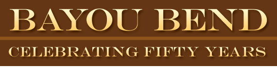 Bayou Bend: Celebrating Fifty Years by Michael K. Brown and Emily Ballew Neff Bayou Bend: Celebrating Fifty Years by Michael K. Brown and Emily Ballew Neff