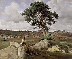 Click Here for Enlarged View
