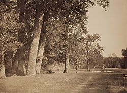 Click Here for Enlarged View