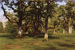 Click Here for Enlarged View