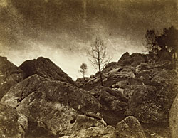 Click Here for Enlarged View