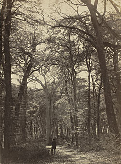 Click Here for Enlarged View
