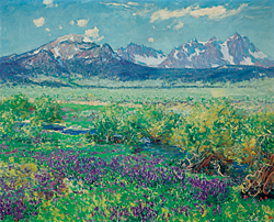Click Here for Enlarged View