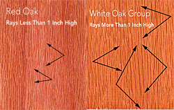 Click Here for Enlarged View
