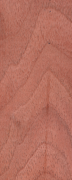 Click Here for Enlarged View