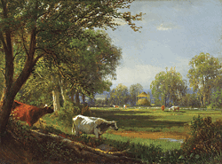 Click Here for Enlarged View