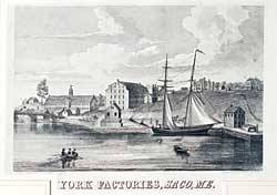 Click Here for Enlarged View