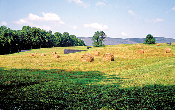 Museum Focus Storm King Art Center by Brittany Good from Antiques Fine 