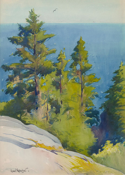 Pine Trees/Coastline