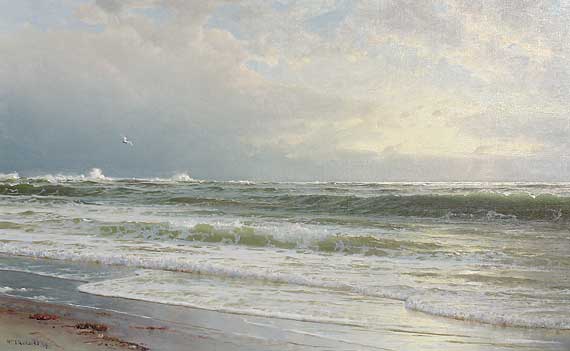 Beach Scene with Seagull