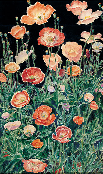 <i>Shirley Poppies</i>
