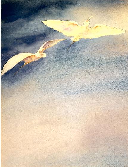 Flying Egrets