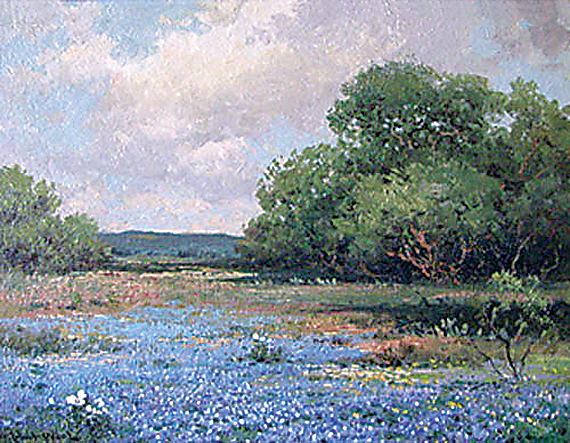 Texas Bluebonnets