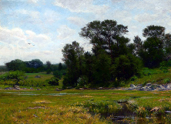 Wooded Landscape