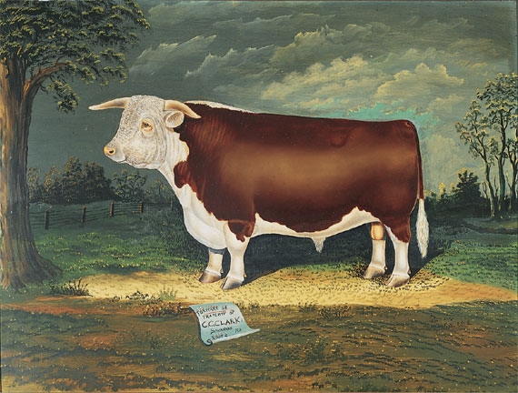 Prize Bull Portraits (1 of 5)