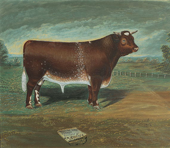 Prize Bull Portraits (2 of 5)