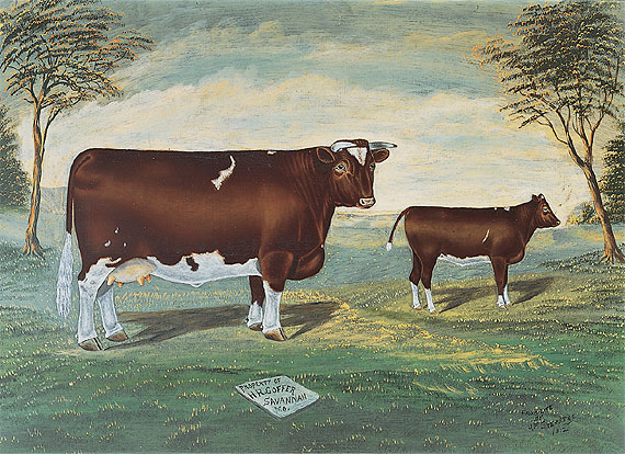 Prize Bull Portraits (4 of 5)
