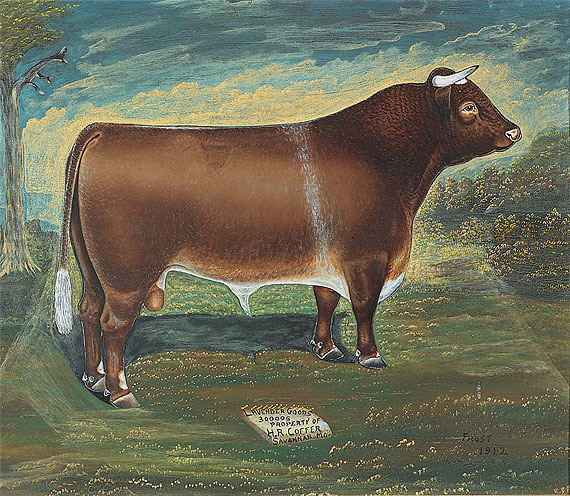 Prize Bull Portraits (5 of 5)
