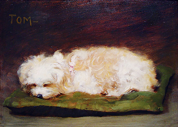 <i>Tom</i>