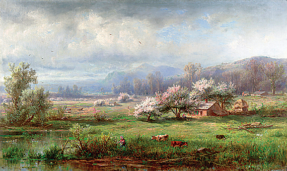 Spring Landscape