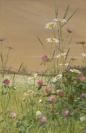 Daisies and Thistles