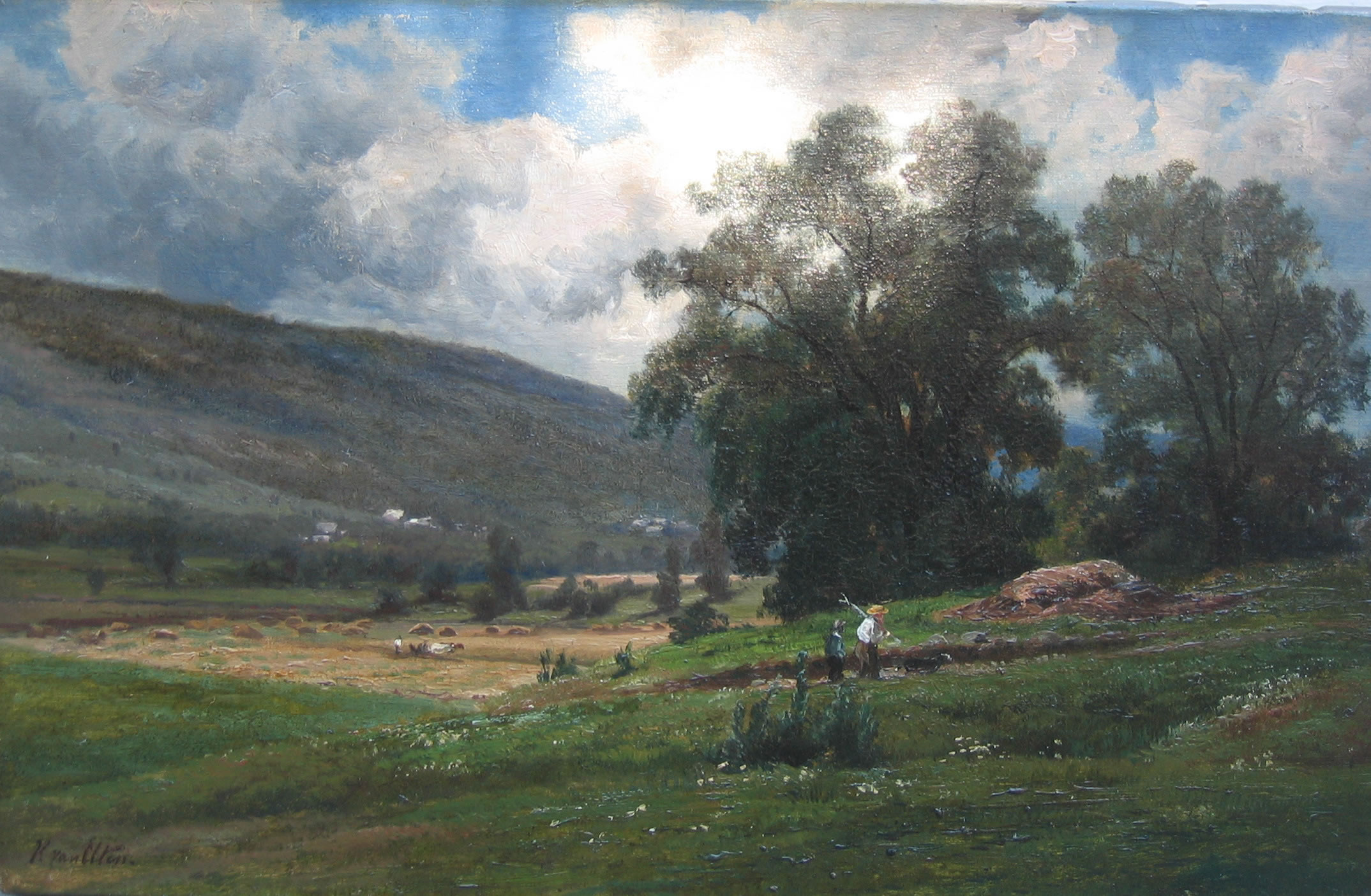 Summer in the Meadows