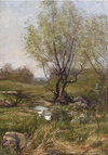 A Meadow Brook