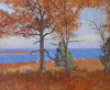 Autumn at the Shore