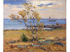-<i>View from Sea Wall...</i>